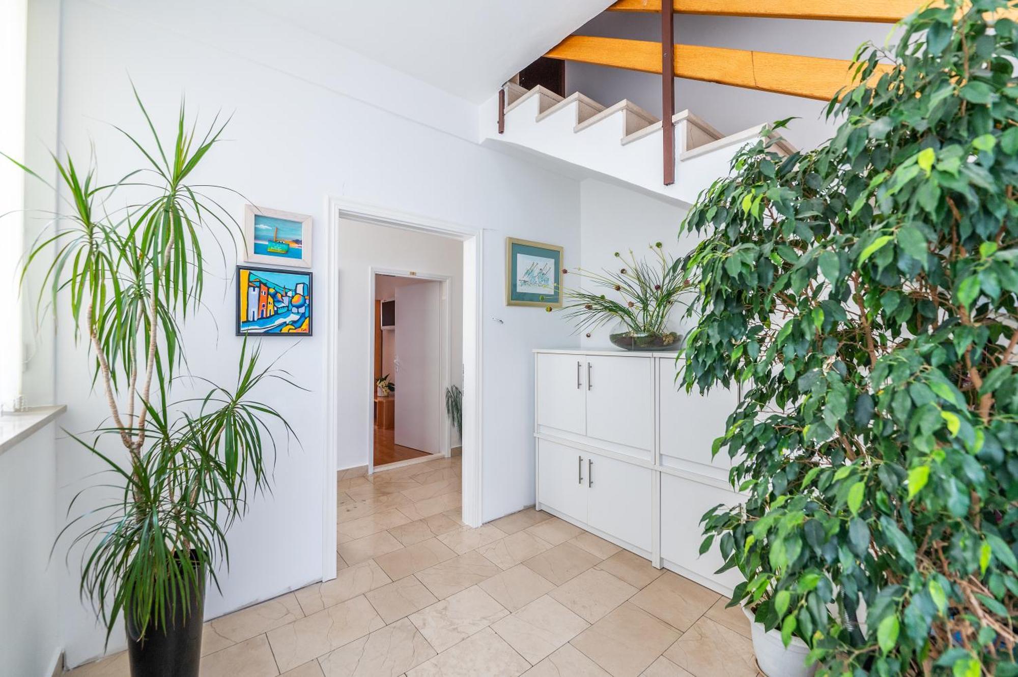 Apartments Sokol マカルスカ エクステリア 写真